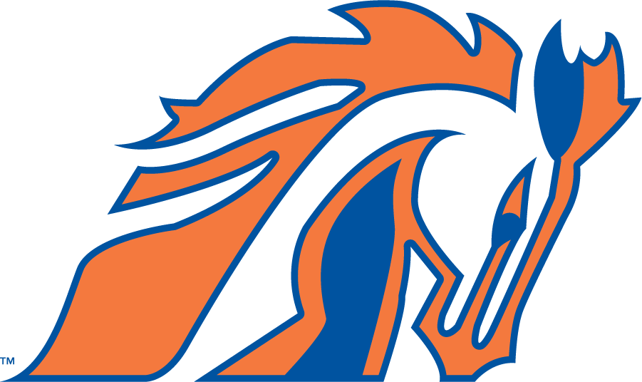 Boise State Broncos 1981-1983 Secondary Logo DIY iron on transfer (heat transfer)
